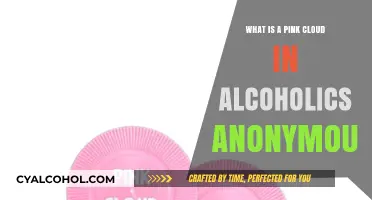 Understanding the Pink Cloud Phenomenon in Alcoholics Anonymous Recovery