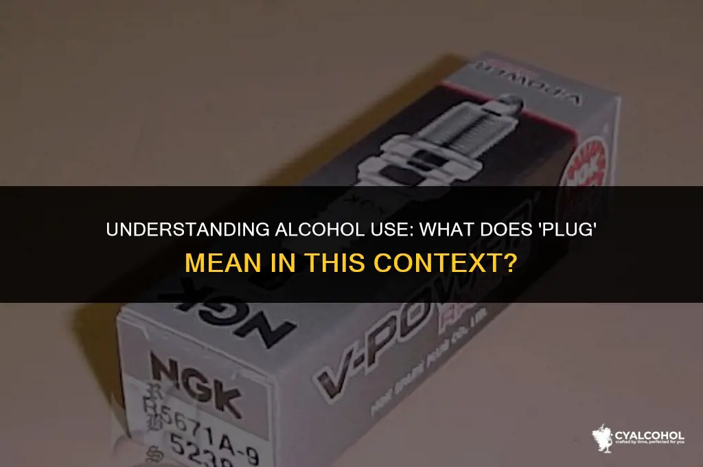 what is a plug for alcohol