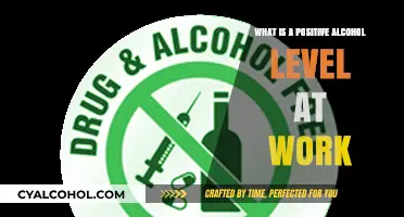 Positive Alcohol Level at Work: Understanding Policies and Professional Boundaries