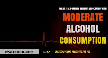 Moderate Drinking: A Healthy Choice?