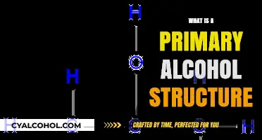 Unveiling the Fundamentals: Understanding Primary Alcohol Structure