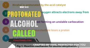 Unveiling the Mystery: What's the Term for Protonated Alcohol?