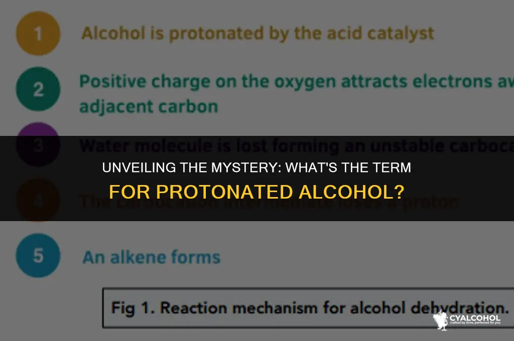 what is a protonated alcohol called