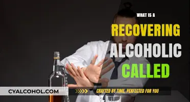 Understanding Recovery: What Is a Recovering Alcoholic Called?