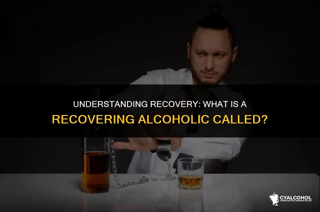 what is a recovering alcoholic called