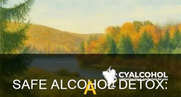 what is a safe way to detox from alcohol