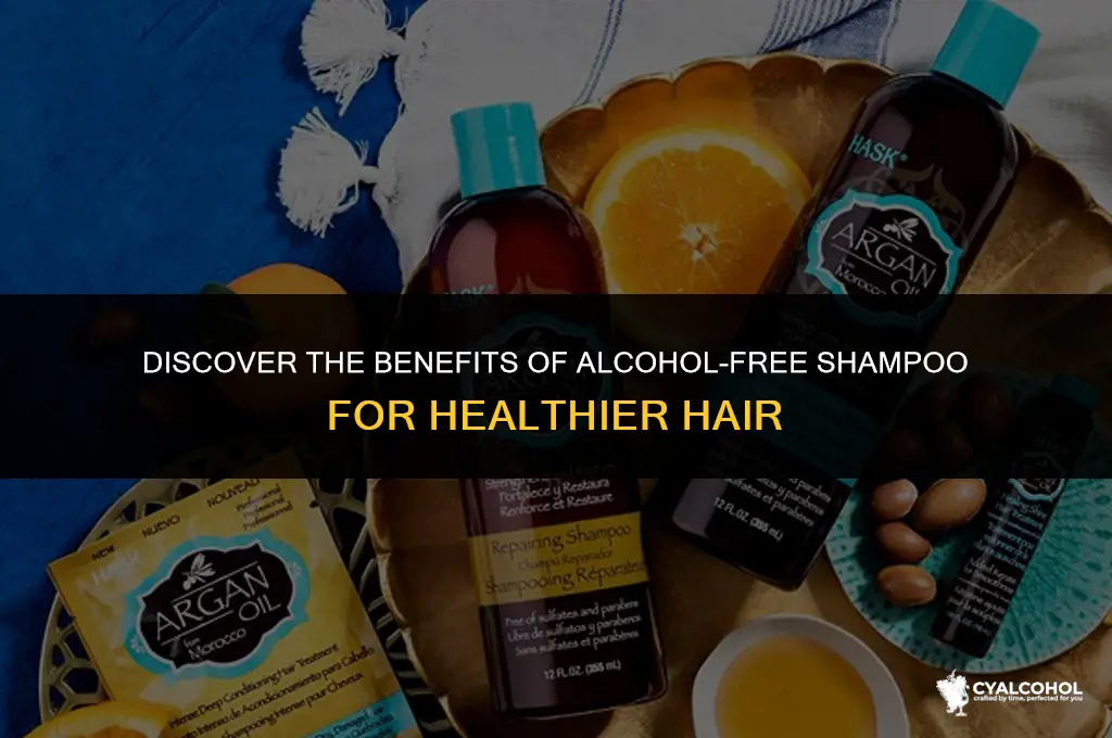what is a shampoo without alcohol