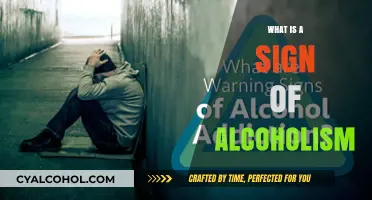 Recognizing the Telltale Signs of Alcoholism: A Guide