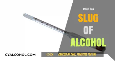 Understanding Alcohol Slugs: A Comprehensive Guide to Measurement and Effects