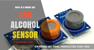 Understanding Smoke, Gas, and Alcohol Sensors: Functions and Applications