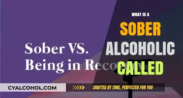 Understanding Sobriety: What Is a Sober Alcoholic Called?