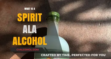 Exploring the Essence: What Is a Spirit in the World of Alcohol?