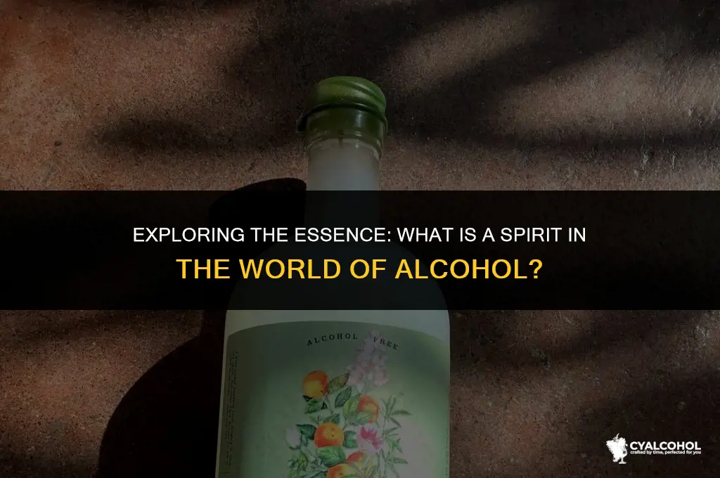what is a spirit ala alcohol