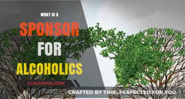 Understanding Sponsorship: A Guide for Alcoholics in Recovery