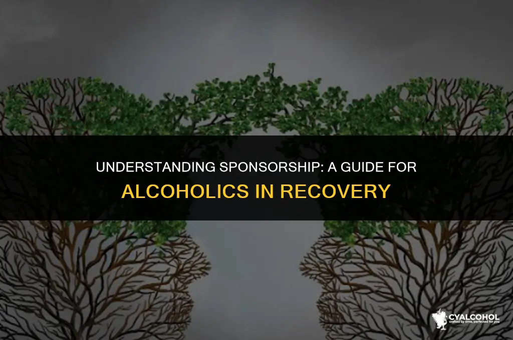 what is a sponsor for alcoholics