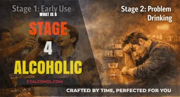 Understanding the Critical Stage: What Is a Stage 4 Alcoholic?