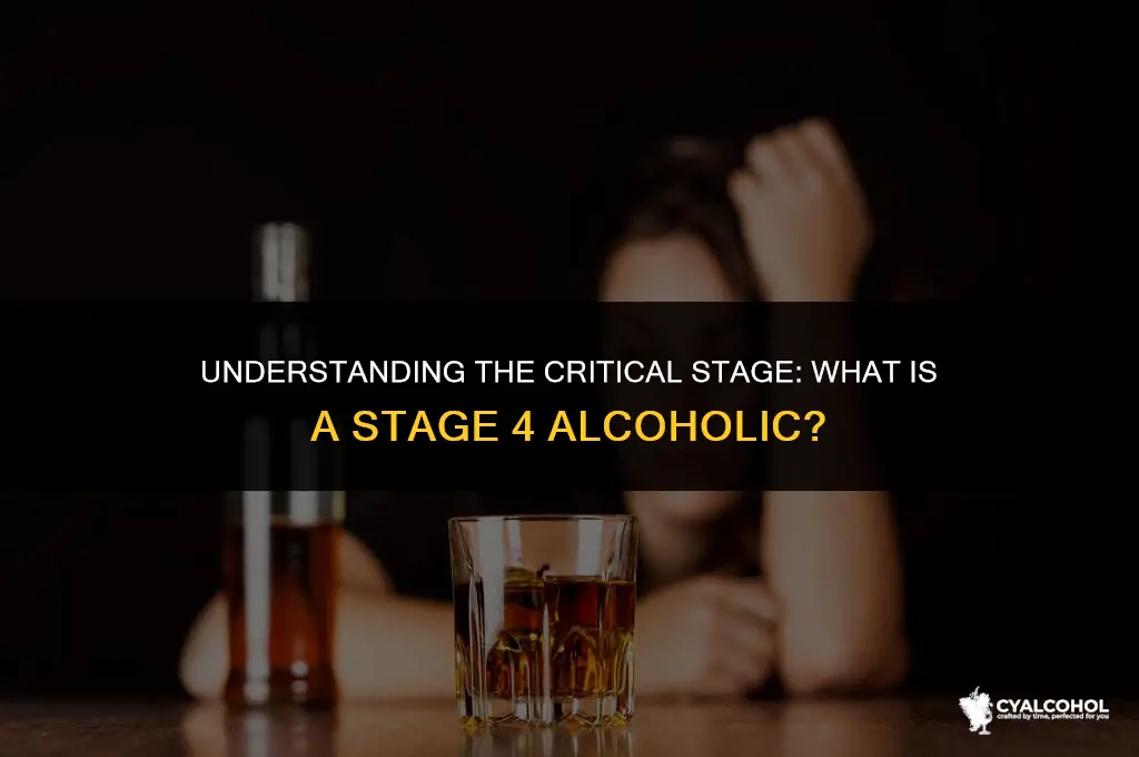 what is a stage 4 alcoholic