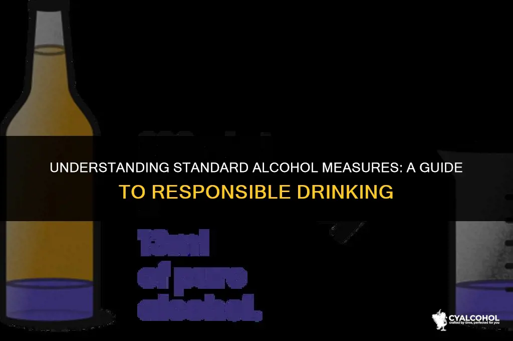 what is a standard alcohol measure
