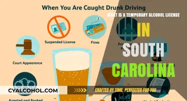 Temporary Alcohol Licenses: South Carolina's Event Essentials