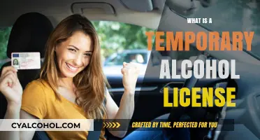 Exploring Temporary Alcohol Licenses: A Comprehensive Guide