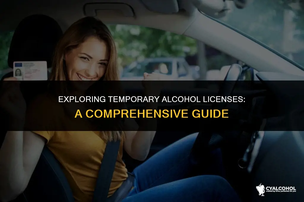 what is a temporary alcohol license