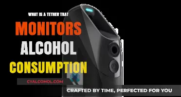 Monitoring Alcohol Consumption: How Tether Devices Track Sobriety in Real-Time