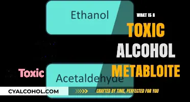 Unveiling the Dangers: Toxic Alcohol Metabolites Explained