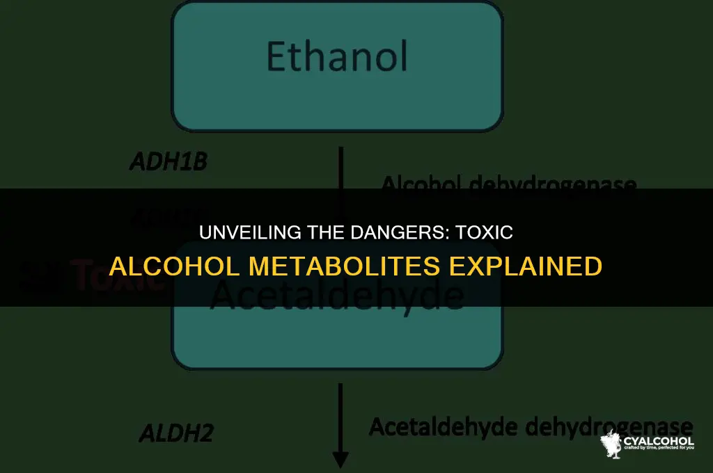 what is a toxic alcohol metabloite