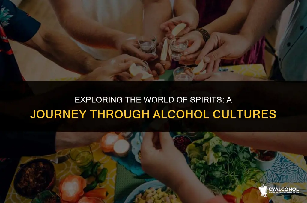 what is a traveler of alcohol