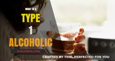 Understanding Type 1 Alcoholism: Causes, Symptoms, and Treatment Options
