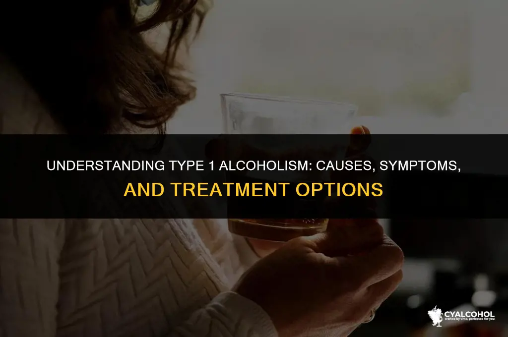 what is a type 1 alcoholic