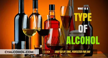 Exploring the Spectrum: Understanding Different Types of Alcohol