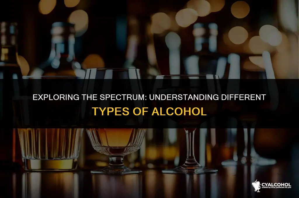 what is a type of alcohol