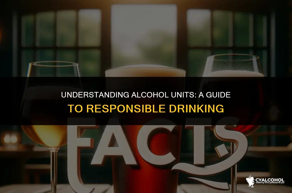 what is a unit for alcohol