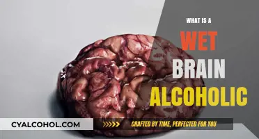 Understanding the Risks: What Is a Wet Brain in Alcoholism?