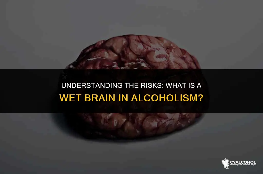 what is a wet brain alcoholic