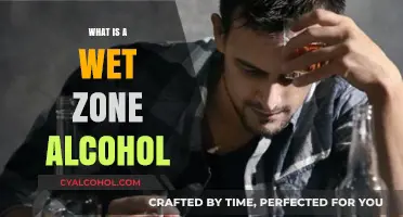 Understanding Wet Zone Alcohol: A Comprehensive Guide