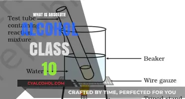 Understanding Absolute Alcohol: A Comprehensive Guide for Class 10 Students