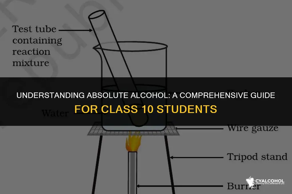 what is absolute alcohol class 10