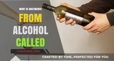 Understanding Sobriety: The Journey of Abstinence from Alcohol