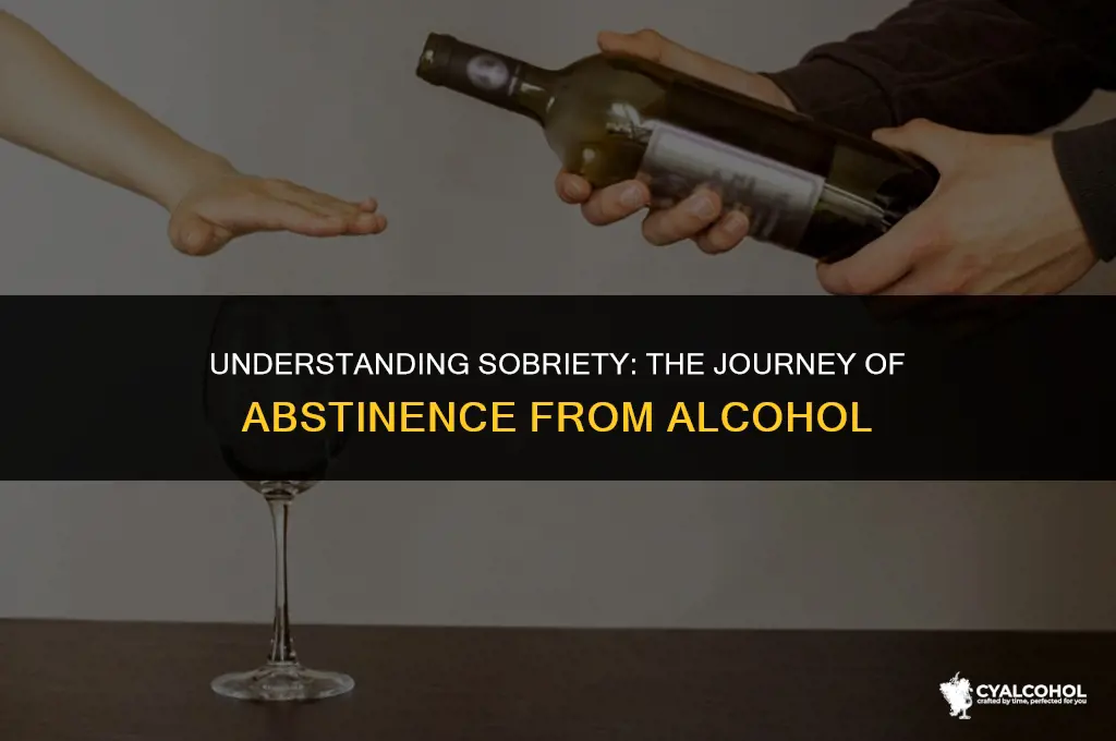 what is abstinence from alcohol called