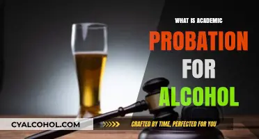 Understanding Academic Probation for Alcohol-Related Offenses