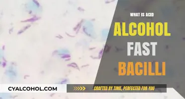 Understanding Acid-Fast Bacilli: A Key to Diagnosing Tuberculosis