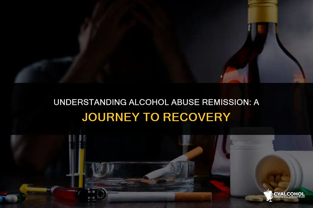 what is alcohol abuse in remission