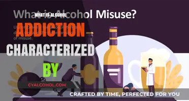 Understanding Alcohol Addiction: Signs, Symptoms, and Treatment Options