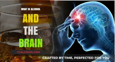 Unveiling the Complex Relationship Between Alcohol and Brain Function