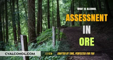 Understanding Alcohol Assessment in Oregon: A Comprehensive Guide