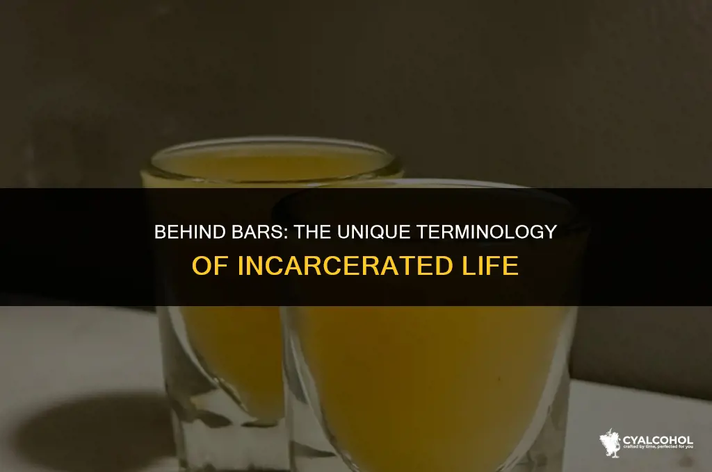 what is alcohol called in jail