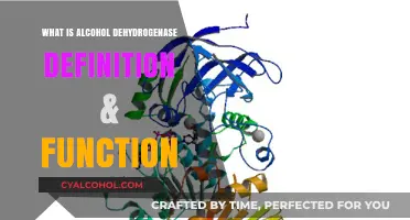 Understanding Alcohol Dehydrogenase: Definition and Function Explained