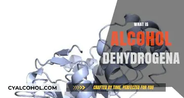 Understanding Alcohol Dehydrogenase: The Enzyme Behind Alcohol Metabolism